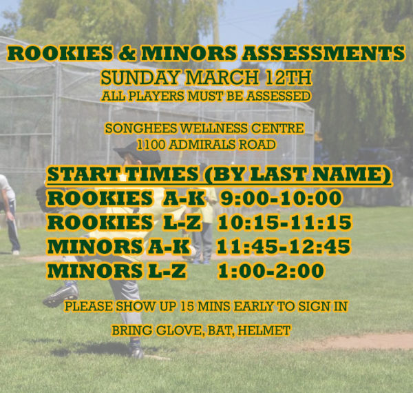 rookies-minors-assessments-this-sunday-national-little-league